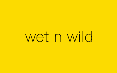 wet n wild-营销策划方案行业大数据搜索引擎